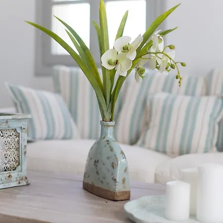 Βίλα Agia Irini Cove